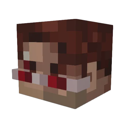 HamishDanish Minecraft avatar head, 3D render