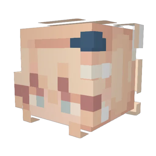 Hammer3011 Minecraft avatar head, 3D render