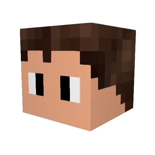 HammerHands09 Minecraft avatar head, 3D render