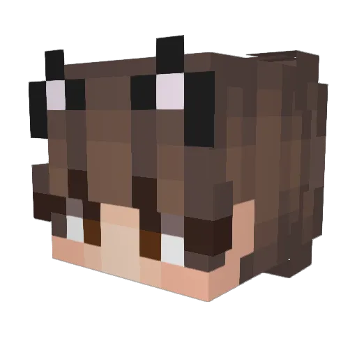 HammerHead2002 Minecraft avatar head, 3D render