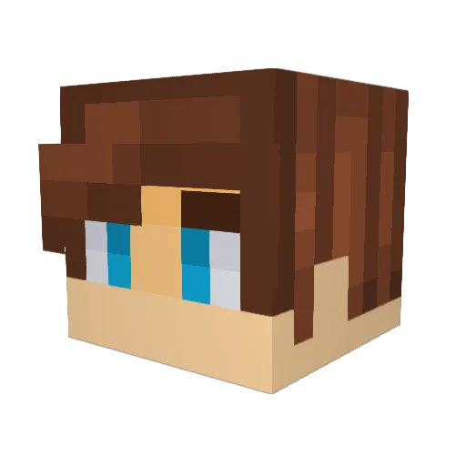 HammerTee62 Minecraft avatar head, 3D render