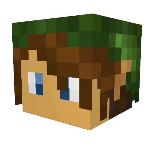 Hammerhans Minecraft avatar head, 3D render
