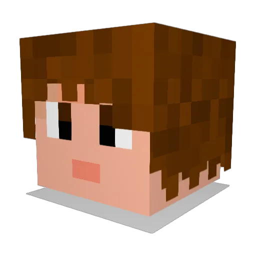Hammerling Minecraft avatar head, 3D render