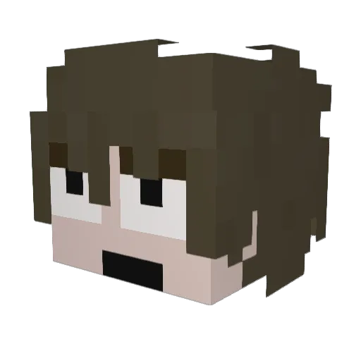 Hammerz00 Minecraft avatar head, 3D render