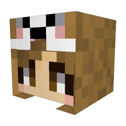 Hammie322 Minecraft avatar head, 3D render