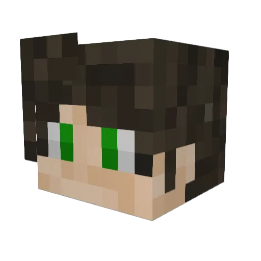 Hammo_55 Minecraft avatar head, 3D render