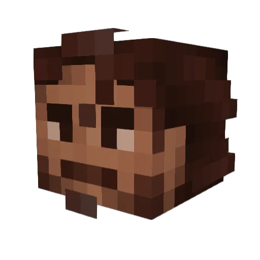 Hammurabies Minecraft avatar head, 3D render