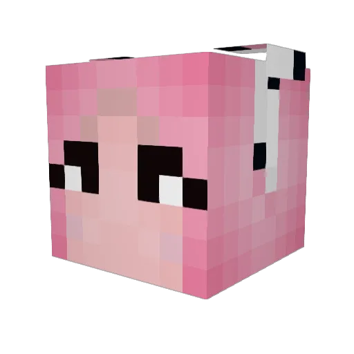 Hammy13 Minecraft avatar head, 3D render