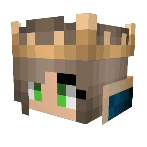 Hammy229 Minecraft avatar head, 3D render