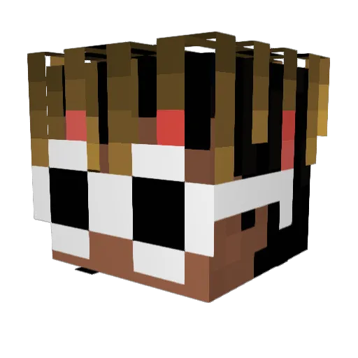 Minecraft-Avatar von HammyBoi6907: Kopf als 3D-Render