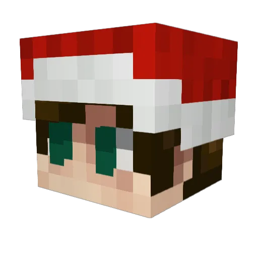 HammyD28 Minecraft avatar head, 3D render