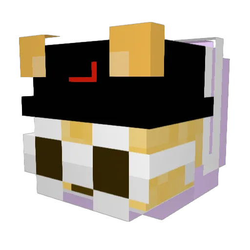 HammyWhammy_64 Minecraft avatar head, 3D render