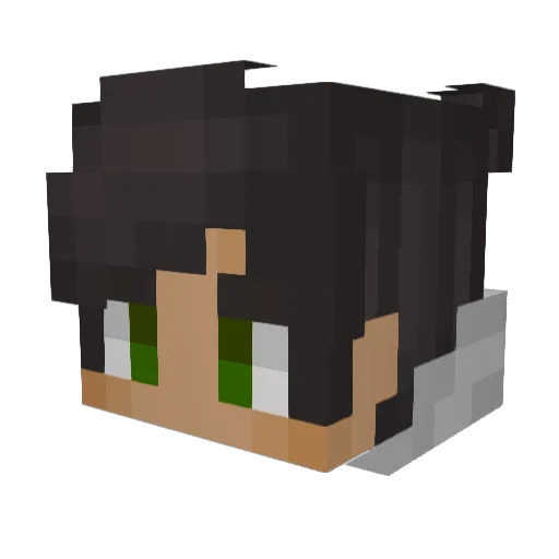 Hamodyzzz Minecraft avatar head, 3D render