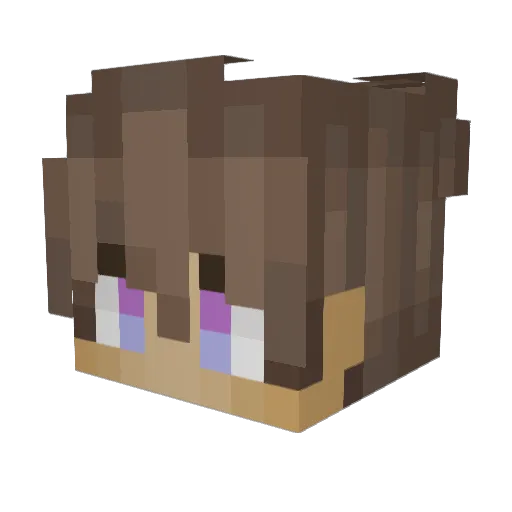 Hamoul45 Minecraft avatar head, 3D render