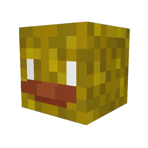 Hampickles Minecraft avatar head, 3D render