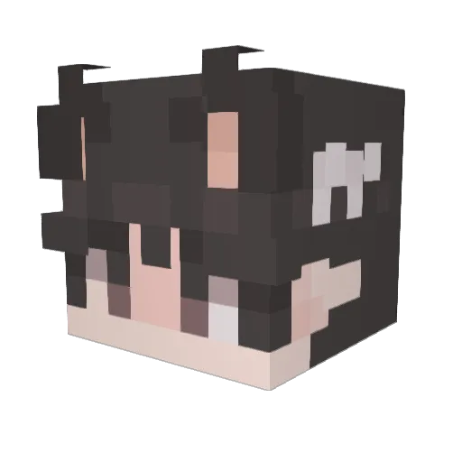 Hampter100 Minecraft avatar head, 3D render