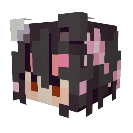 HampterBeanz Minecraft avatar head, 3D render