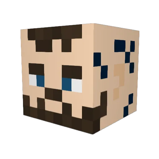 Hamr_Thrung Minecraft avatar head, 3D render