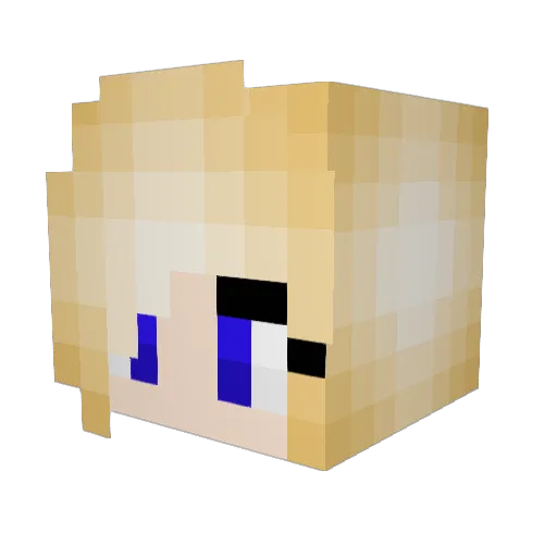 Hamschderbagge Minecraft avatar head, 3D render