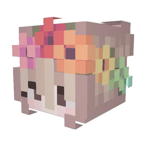 Hamster05 Minecraft avatar head, 3D render