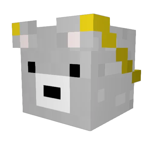 Hamster123465 Minecraft avatar head, 3D render