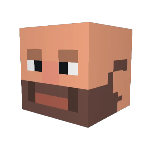 Hamster24454 Minecraft avatar head, 3D render