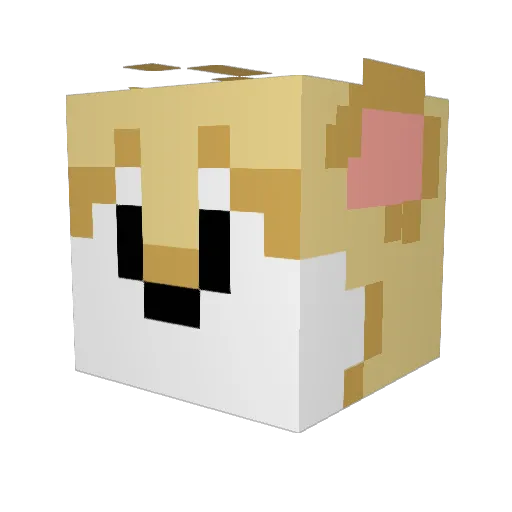 Hamster6041 Minecraft avatar head, 3D render