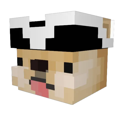 Hamster66687 Minecraft avatar head, 3D render