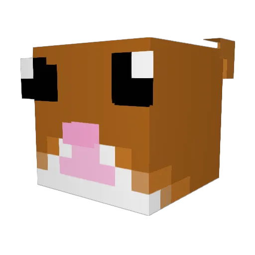 HamsterJimmy Minecraft avatar head, 3D render