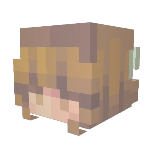HamsterQueen088 Minecraft avatar head, 3D render