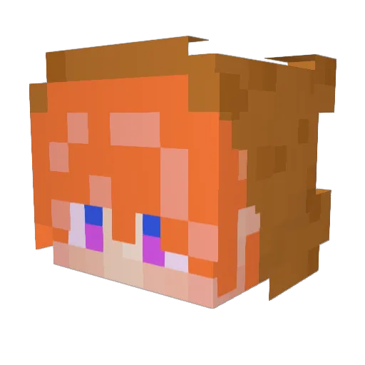 Hamster_0000 Minecraft avatar head, 3D render