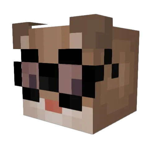 Hamstercito_ Minecraft avatar head, 3D render