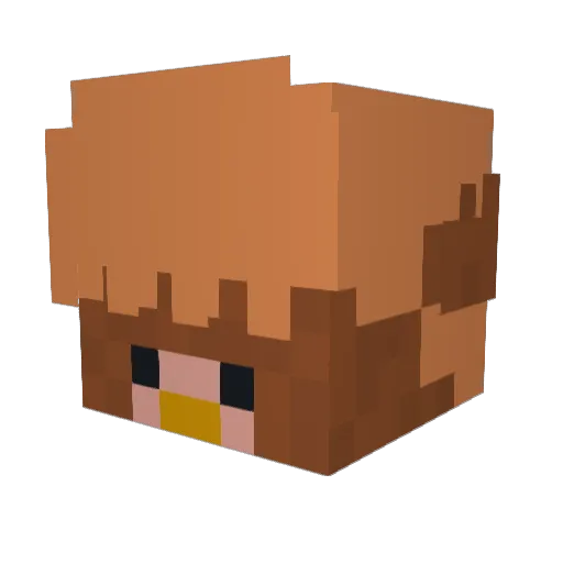 Hamsterlord657 Minecraft avatar head, 3D render
