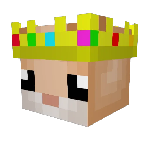 Hamsterlord69 Minecraft avatar head, 3D render