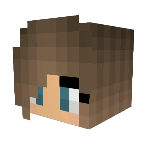 Hamsterlp03 Minecraft avatar head, 3D render