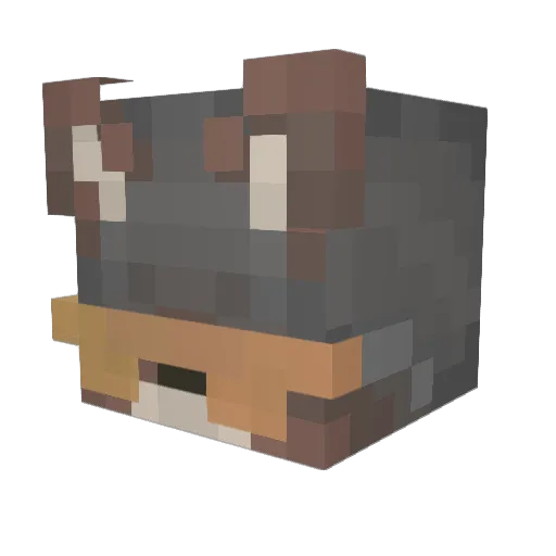 Hamsters3410 Minecraft avatar head, 3D render