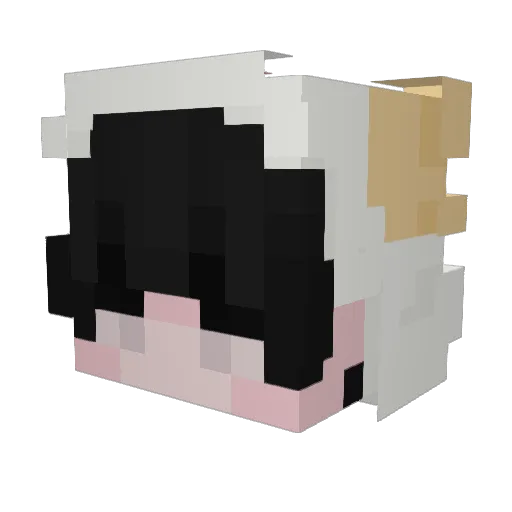 Hamtaroo Minecraft avatar head, 3D render