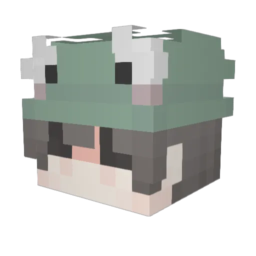Hamtarr0 Minecraft avatar head, 3D render