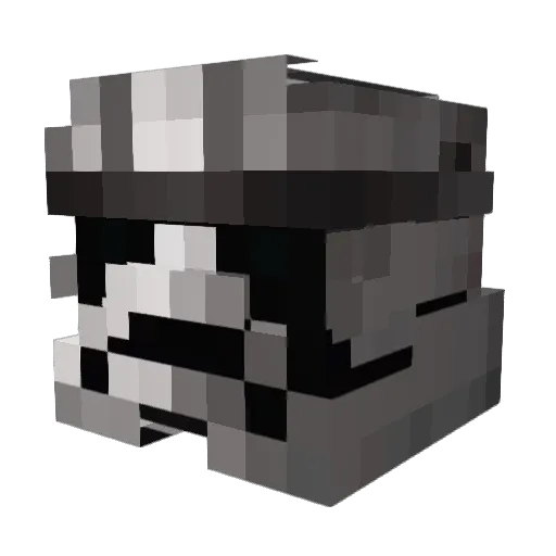 HamtiBamtii Minecraft avatar head, 3D render