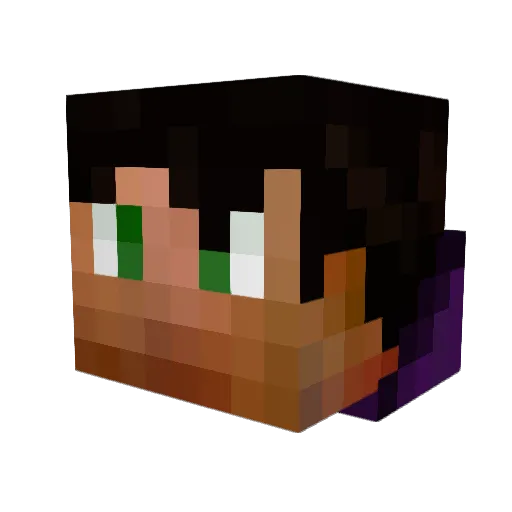 Hamzawy101 Minecraft avatar head, 3D render