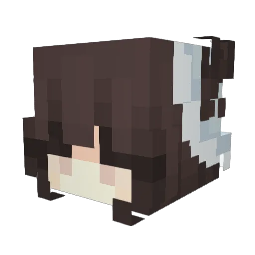 Han0106 Minecraft avatar head, 3D render