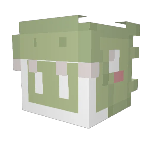Han3567 Minecraft avatar head, 3D render