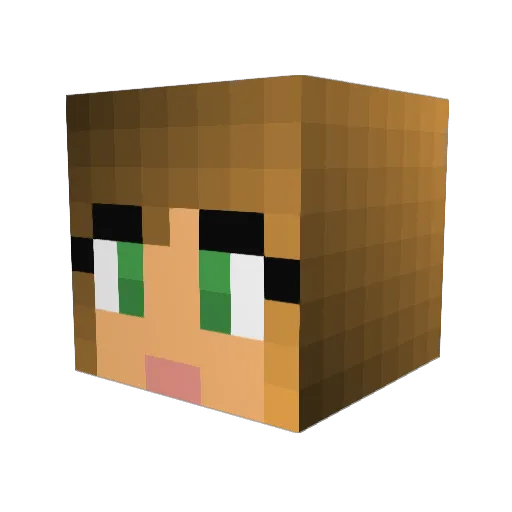 HanHan219 Minecraft avatar head, 3D render