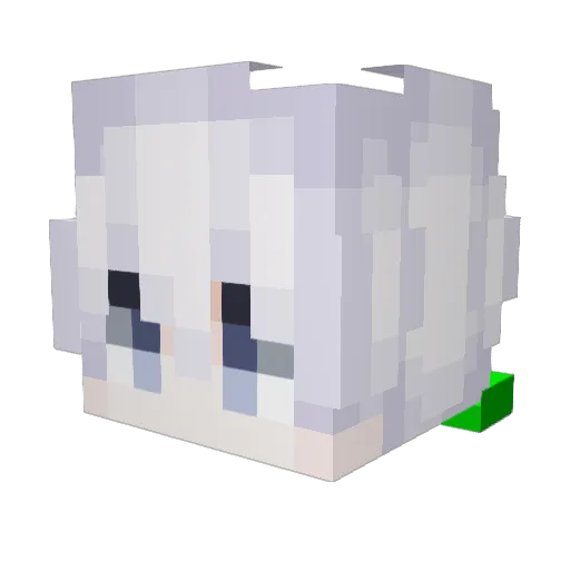 HanHan5522 Minecraft avatar head, 3D render