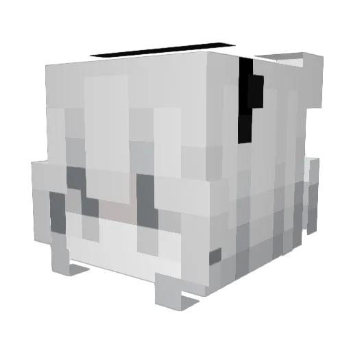HanHan9487 Minecraft avatar head, 3D render