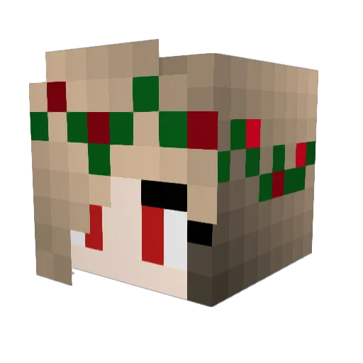 HanJeRI Minecraft avatar head, 3D render