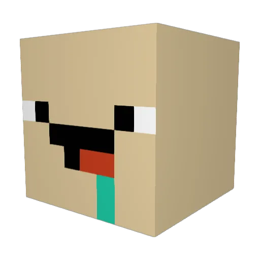 HanSolo1 Minecraft avatar head, 3D render