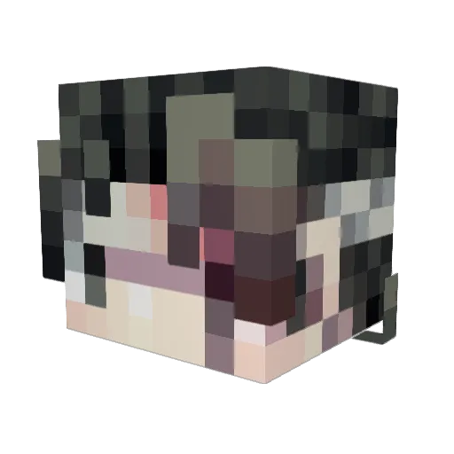 Han_Jiang23 Minecraft avatar head, 3D render