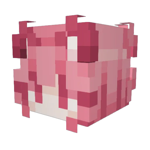Han_Moon_ Minecraft avatar head, 3D render