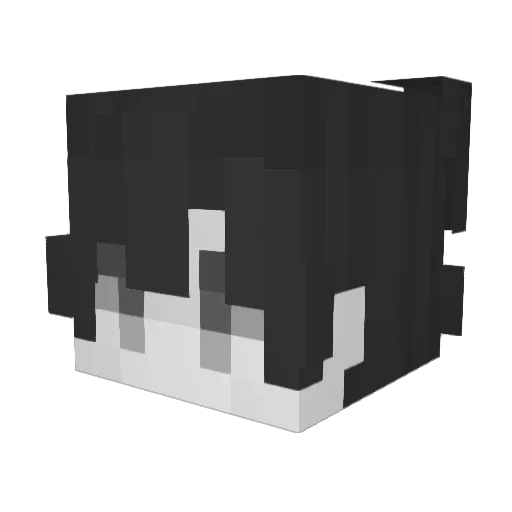 Han_Neo Minecraft avatar head, 3D render